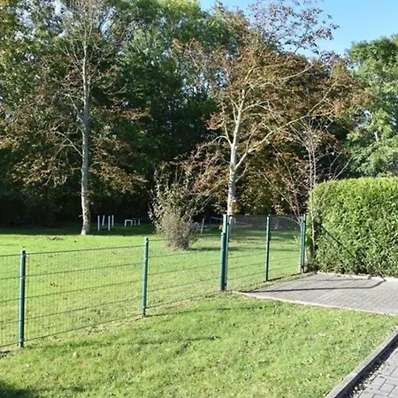 Beagle * ドルヌム