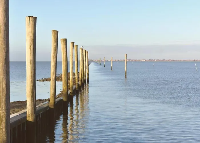 Beagle Appartement *