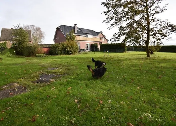 Beagle Appartement *